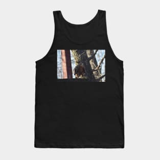 Hawk Tank Top